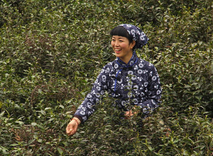 152网主 蛇蝎美人